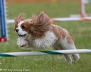 20130614-cckc-0452