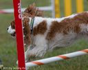 20130614-cckc-0453