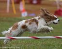 20130614-cckc-0455