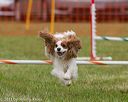 20130614-cckc-0456