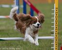 20130614-cckc-0467