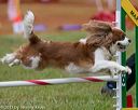 20130614-cckc-0470