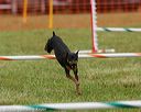 20130614-cckc-0481