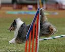 20130614-cckc-0487
