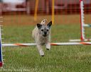 20130614-cckc-0494
