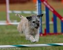 20130614-cckc-0495