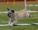 20130614-cckc-0497