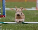 20130614-cckc-0544