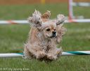 20130614-cckc-0595