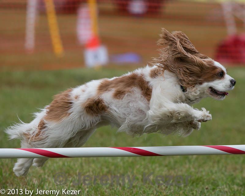 20130614-cckc-0455.jpg