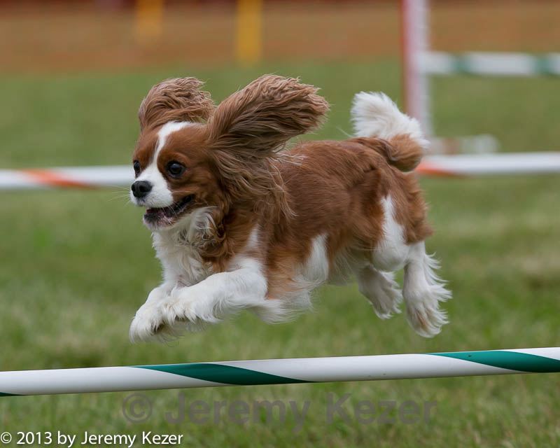 20130614-cckc-0468.jpg
