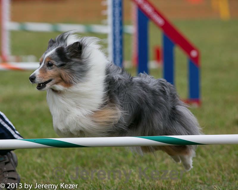 20130614-cckc-0488.jpg