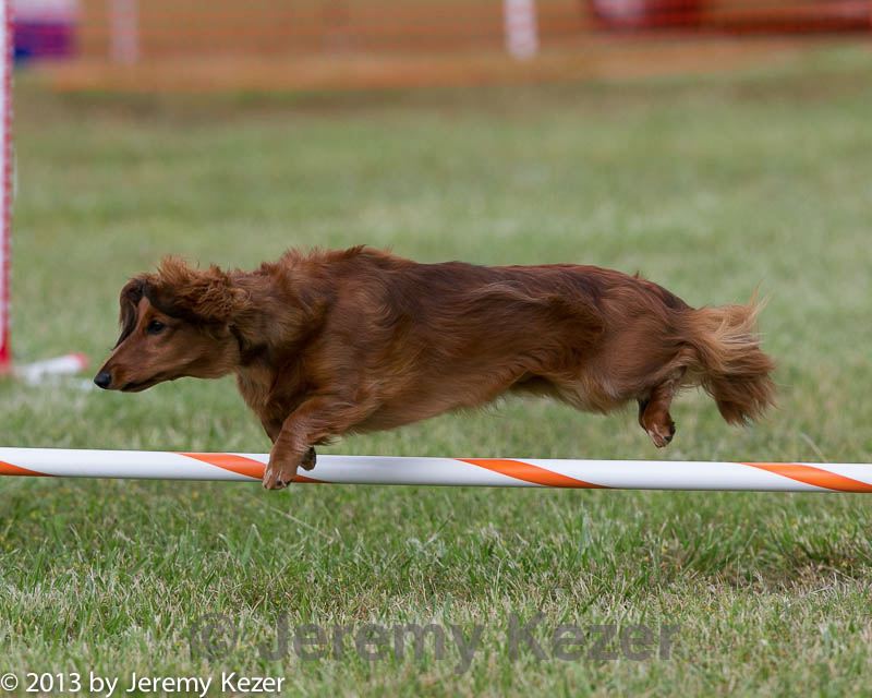 20130614-cckc-0195.jpg