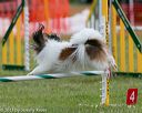 20130614-cckc-0211