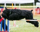 20130614-cckc-0175