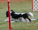 20130614-cckc-0148