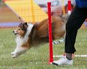 20130614-cckc-0155