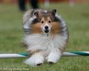 20130614-cckc-0157