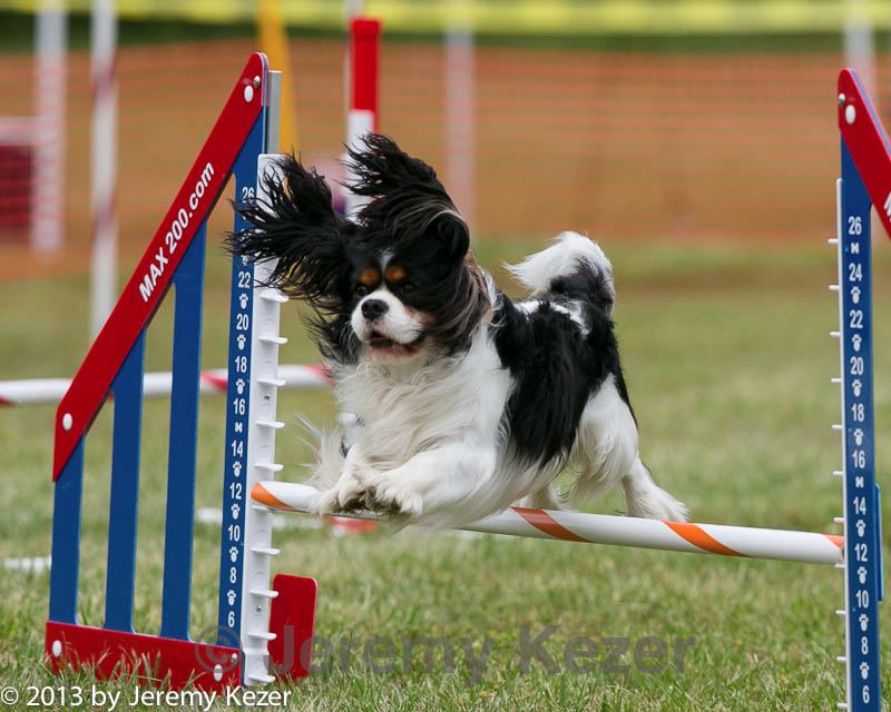 20130614-cckc-0152.jpg
