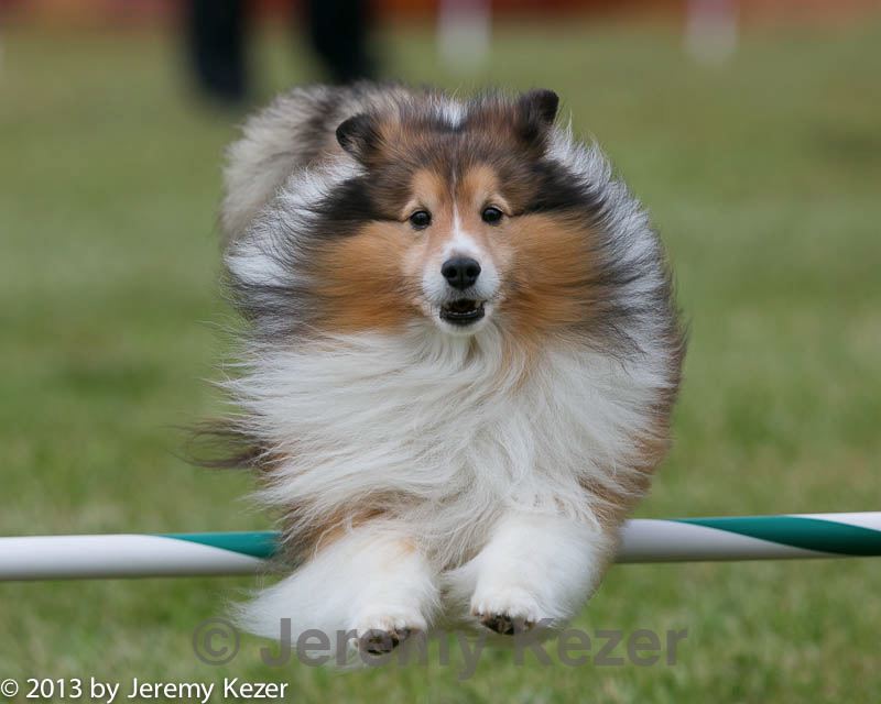 20130614-cckc-0157.jpg