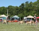 20130615-cckcmc-0062