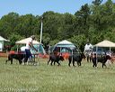 20130615-cckcmc-0074