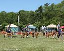 20130615-cckcmc-0078