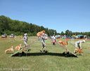 20130615-cckcmc-0090