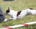 20130616-cckc-0093