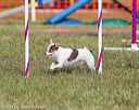 20130616-cckc-0094