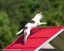 20130616-cckc-0096