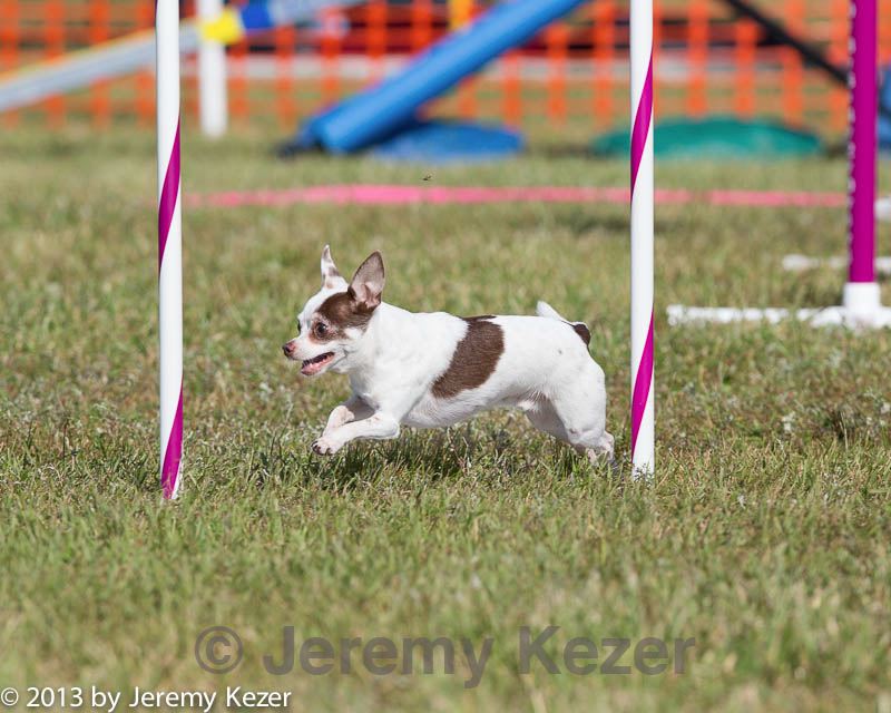 20130616-cckc-0094.jpg