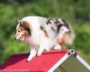20130616-cckc-0081