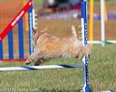 20130616-cckc-0084
