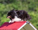 20130616-cckc-0089