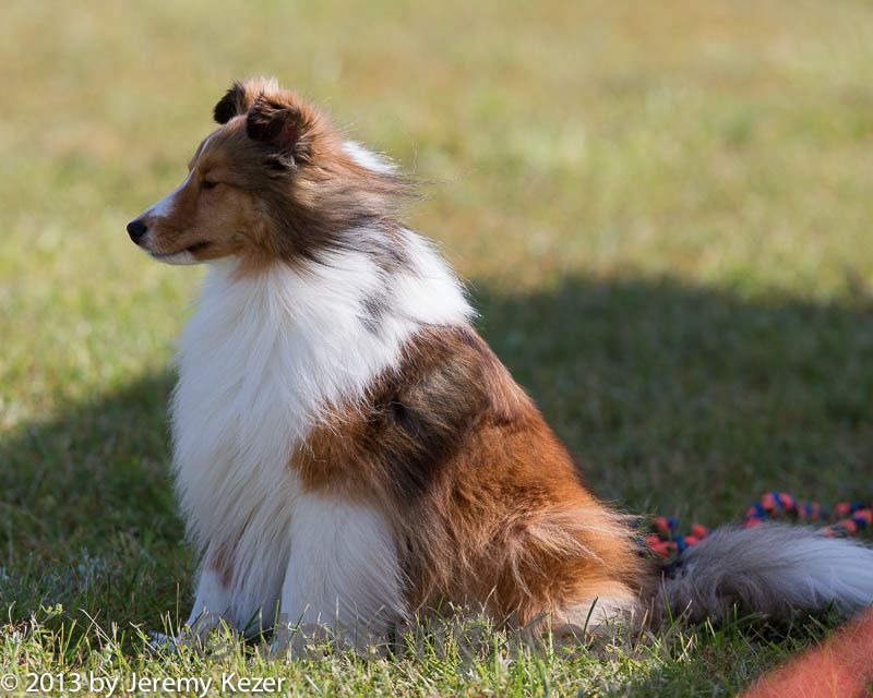 20130616-cckc-0078.jpg