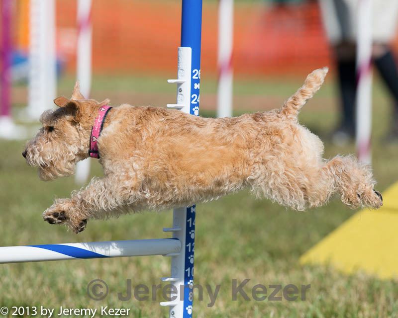 20130616-cckc-0086.jpg