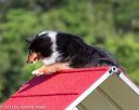 20130616-cckc-0056