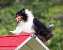 20130616-cckc-0063