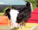 20130616-cckc-0066