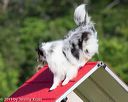 20130616-cckc-0068