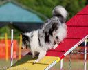 20130616-cckc-0070