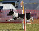 20130616-cckc-0071