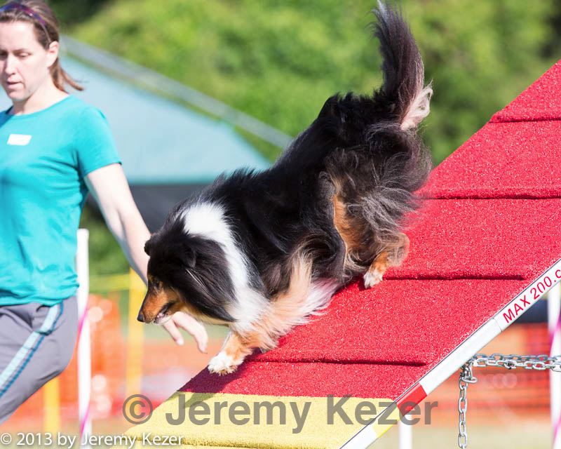 20130616-cckc-0058.jpg