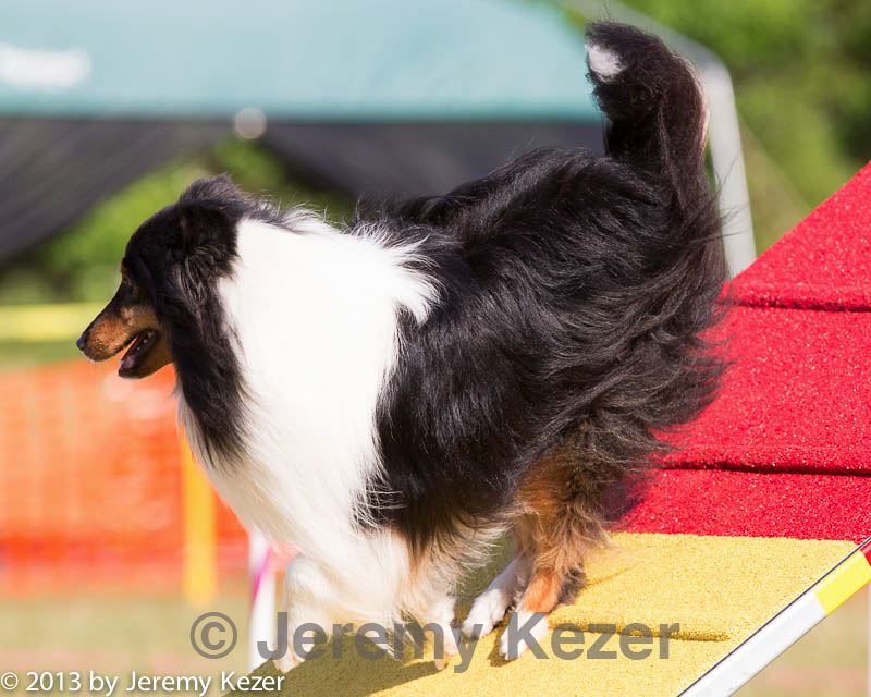 20130616-cckc-0066.jpg