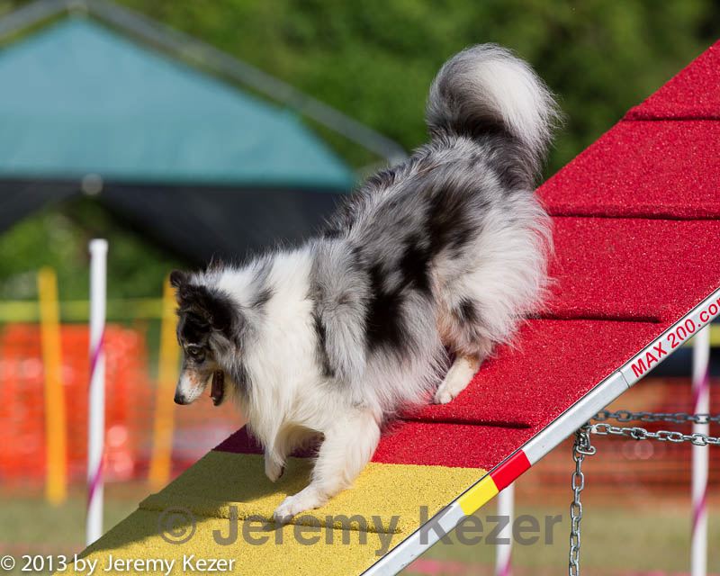 20130616-cckc-0070.jpg