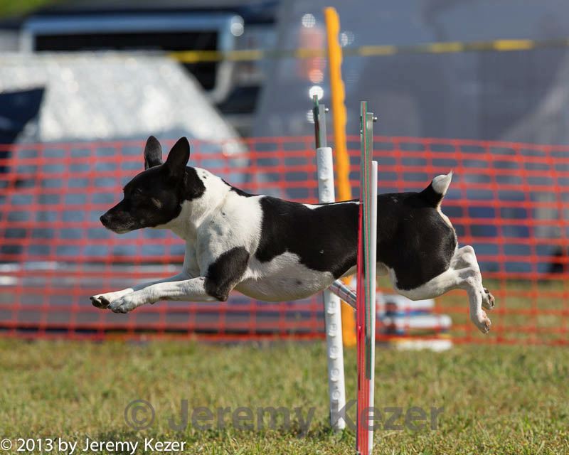 20130616-cckc-0071.jpg