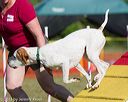 20130616-cckc-0014