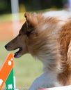 20130616-cckc-0015