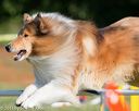 20130616-cckc-0017